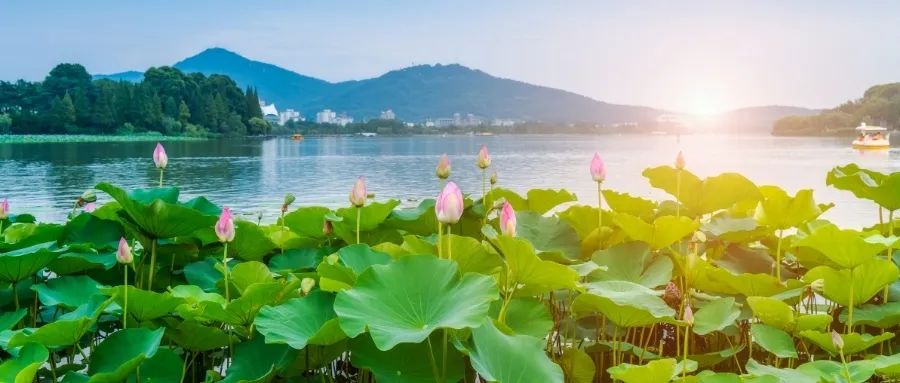 检察权运行机制建设,检察权的内部监督制约的意义