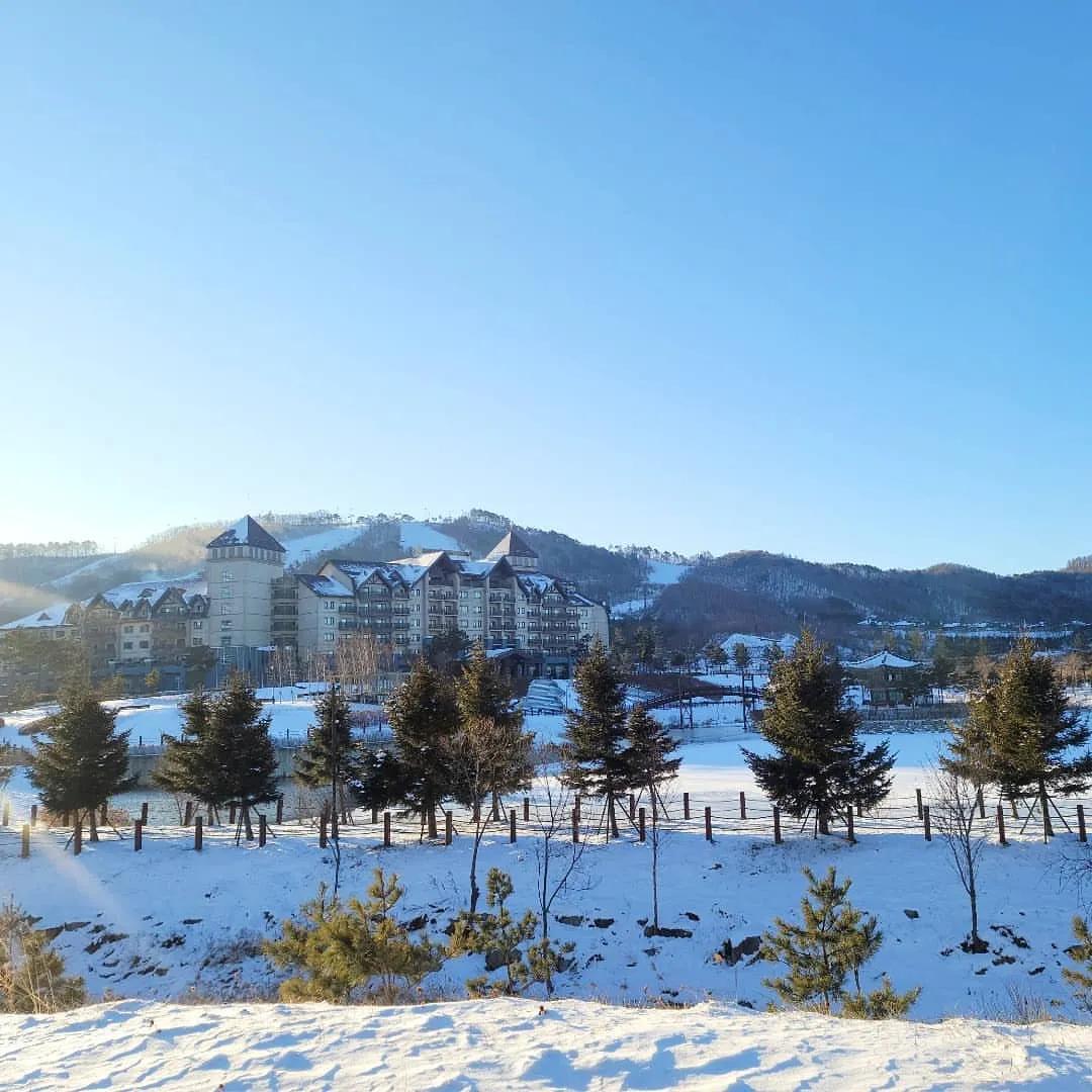 抢不到冰墩墩是什么梗,冬奥会冰墩墩2022