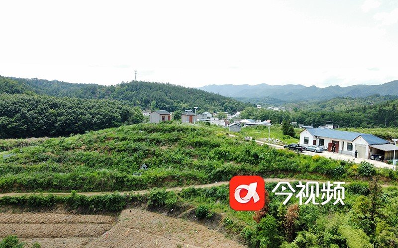 九江瑞昌一合作社成立并无收益对公账户却给多名乡村干部打款？