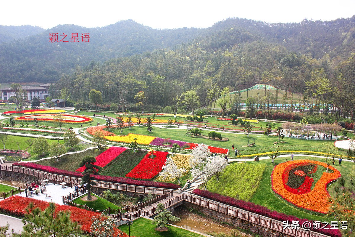没有花的花博园，收费变免费，梅花正艳