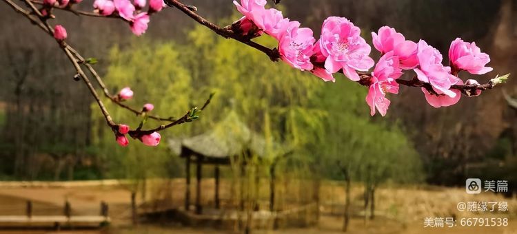 壹山窑禅院亲子夏令营招生简章