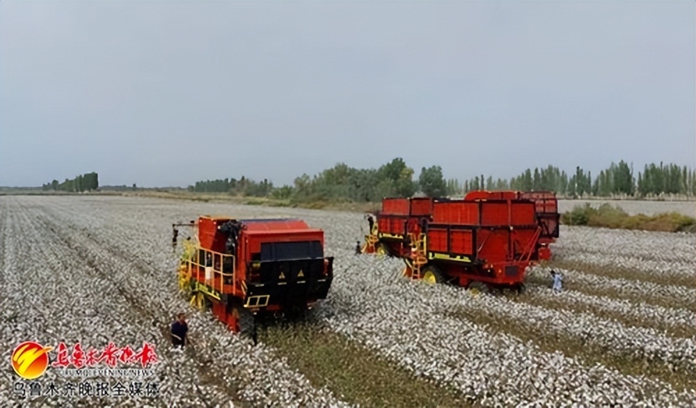 新疆工业经济保持平稳增长,经济发展亮眼文旅表现不俗