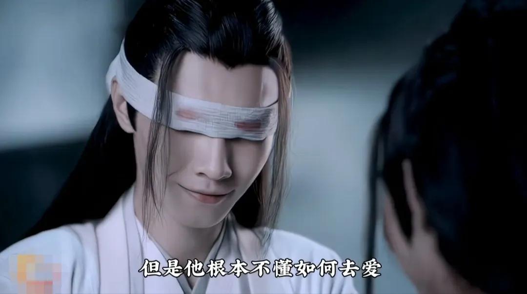 陈情令意难平cp,陈情令温情魏无羡cp