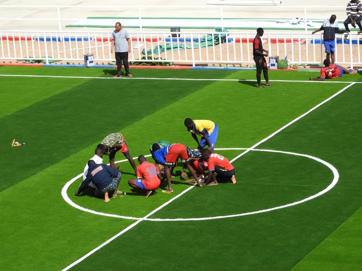 一看二闻三摸四检查,什么样的人造草算优质