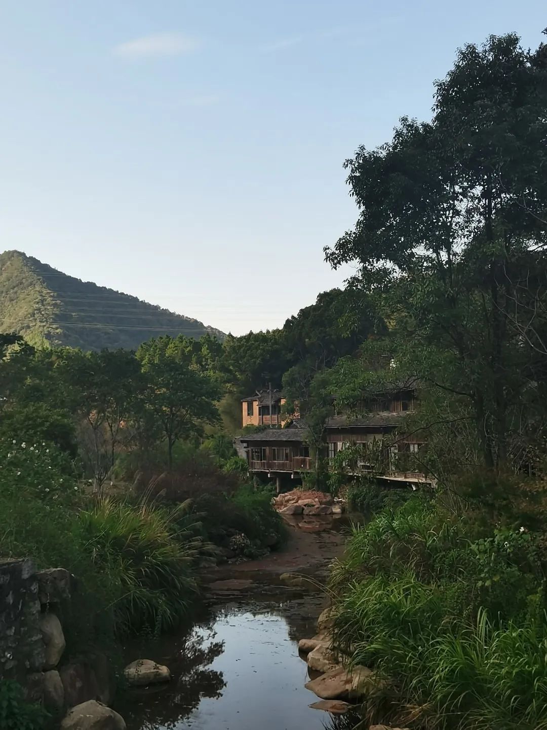 归来景德镇,重新来过景德镇