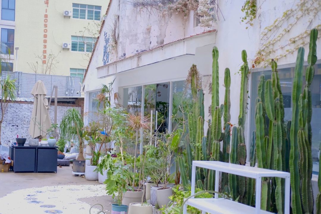 如何打造花园式花店,开一家花店怎么做花艺