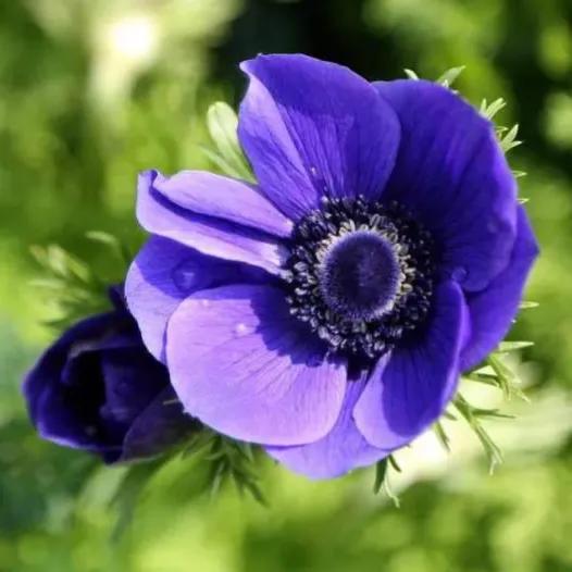 国色天香秀色可餐的美女 (秀色可餐与国色天香)