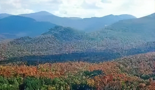 马云如果不卸任会怎样,马云卸任后的目标