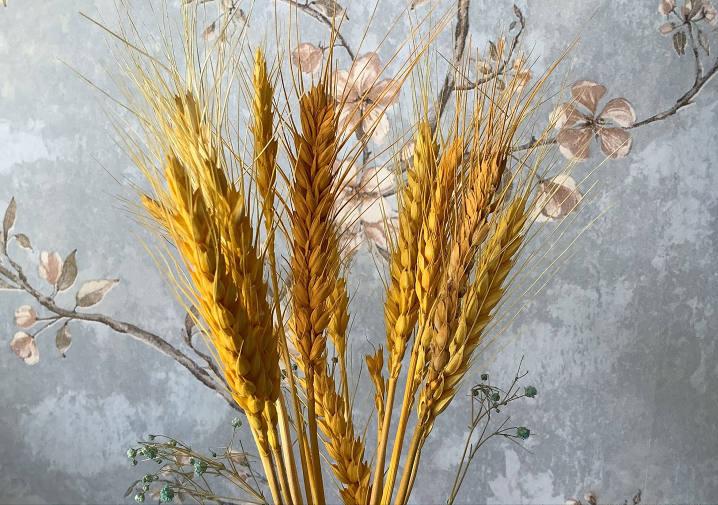 ipad第八代值得入手,ipad第八代测评