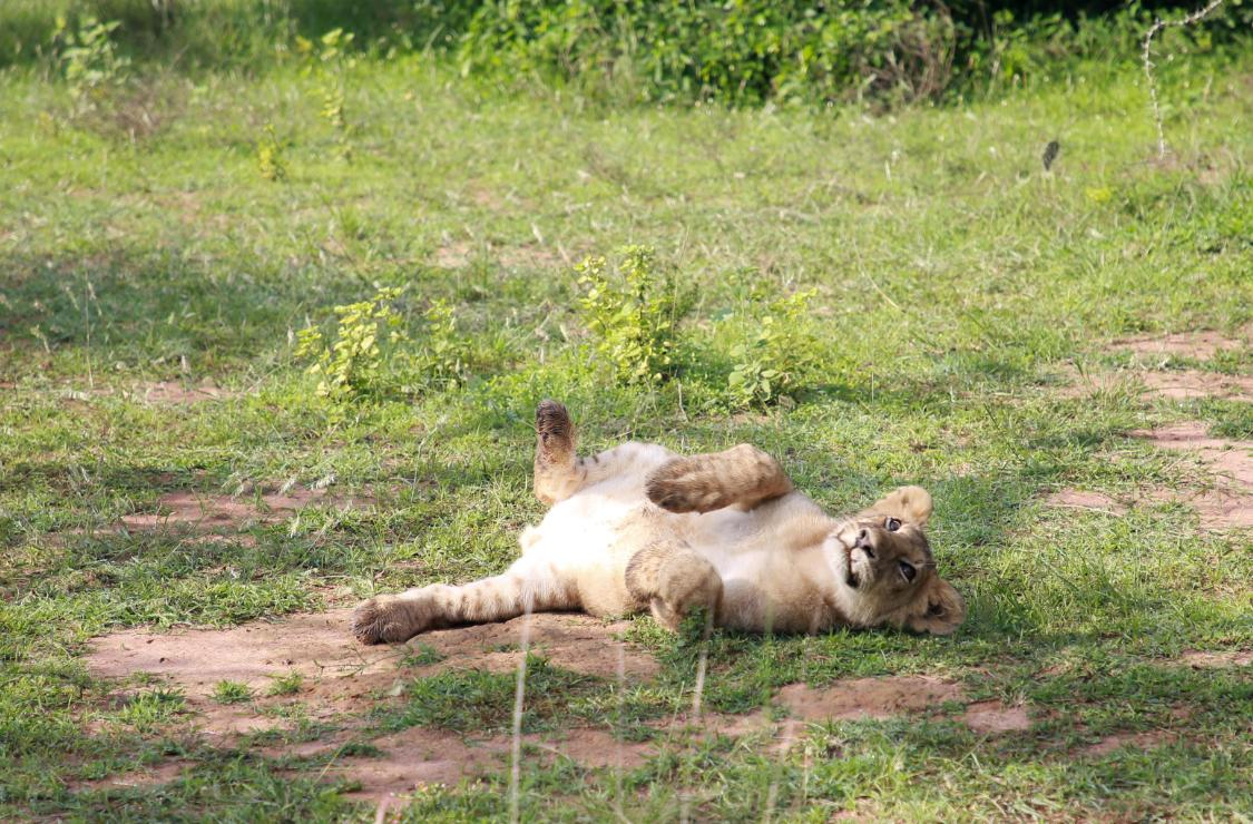 从地狱到人间天堂卢旺达,从天堂到地狱的卢旺达