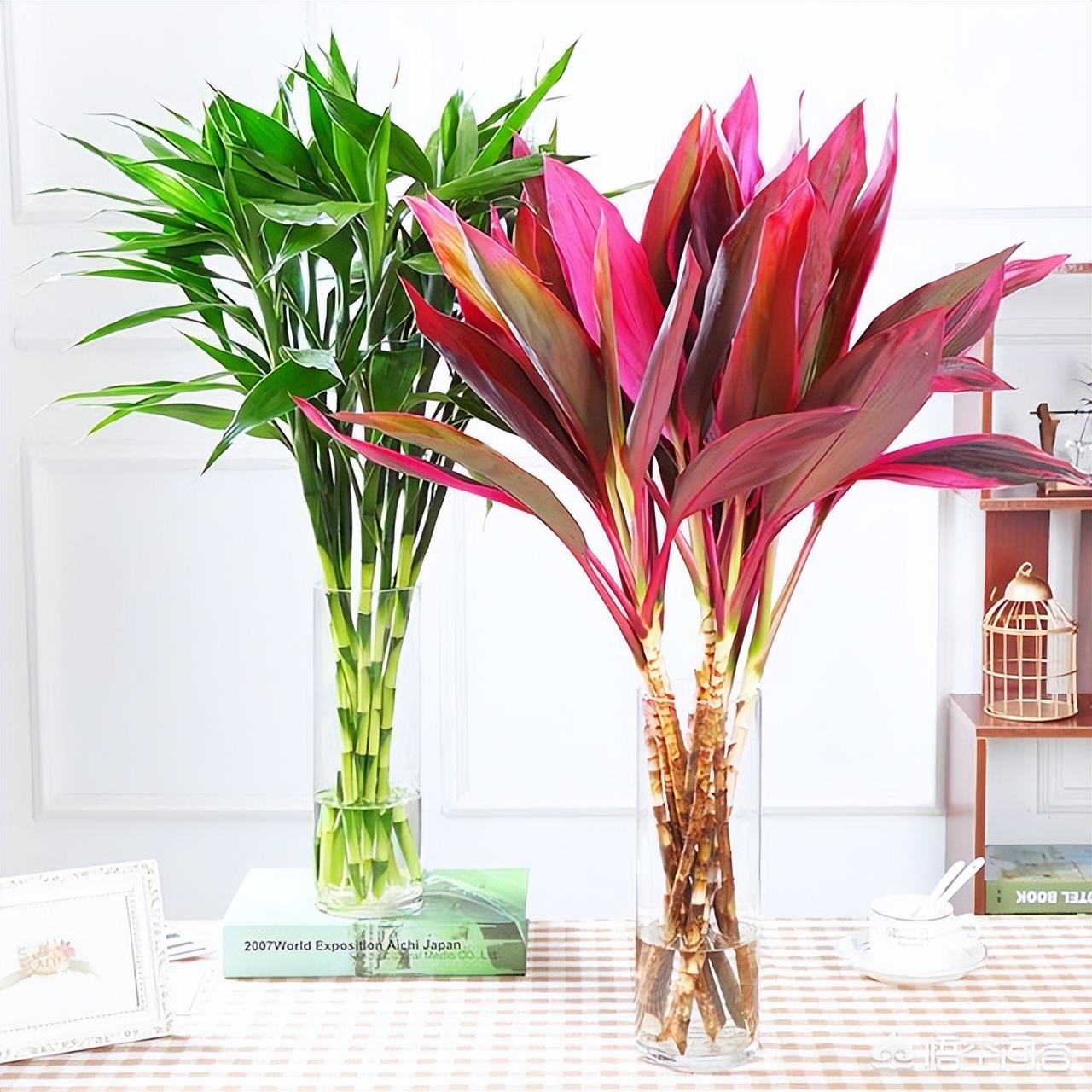 客厅好看的观赏花,小清新唯美油画花