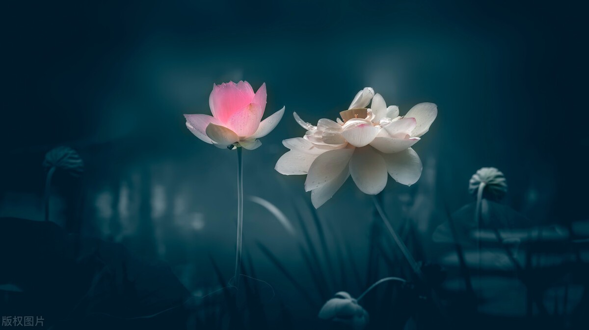 汉字演变史上的两次变革及意义,汉字的发展和演变带来的启示