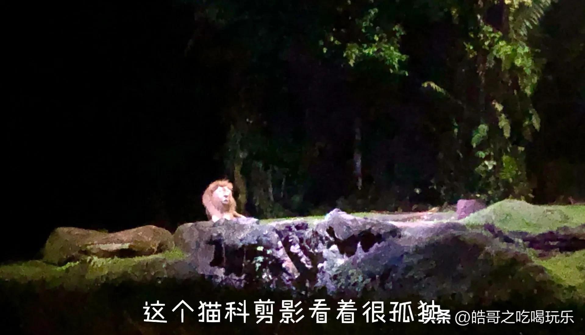 新加坡马来西亚穷游攻略,穷游攻略新加坡点滴时光