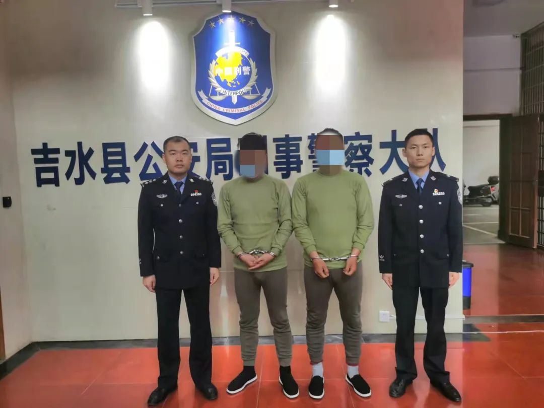 一只鸡引出的命案,一只土鸡牵出犯罪团伙