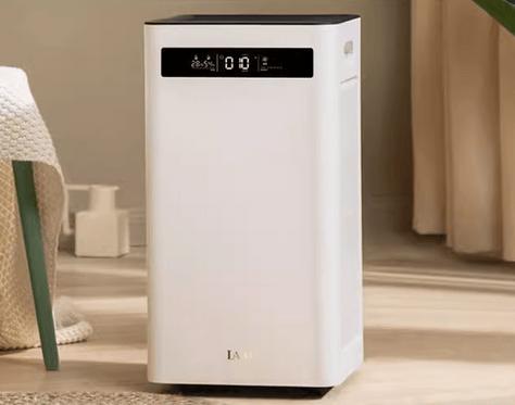 猫咪除体味净化器,猫咪除甲醛空气净化器