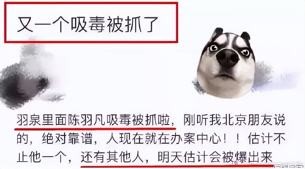 胡海泉和陈羽凡怎么了,胡海泉与陈羽凡现状