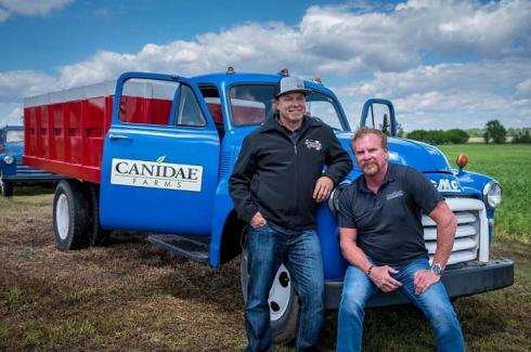 鍗℃瘮canidae,canidae鍗℃瘮