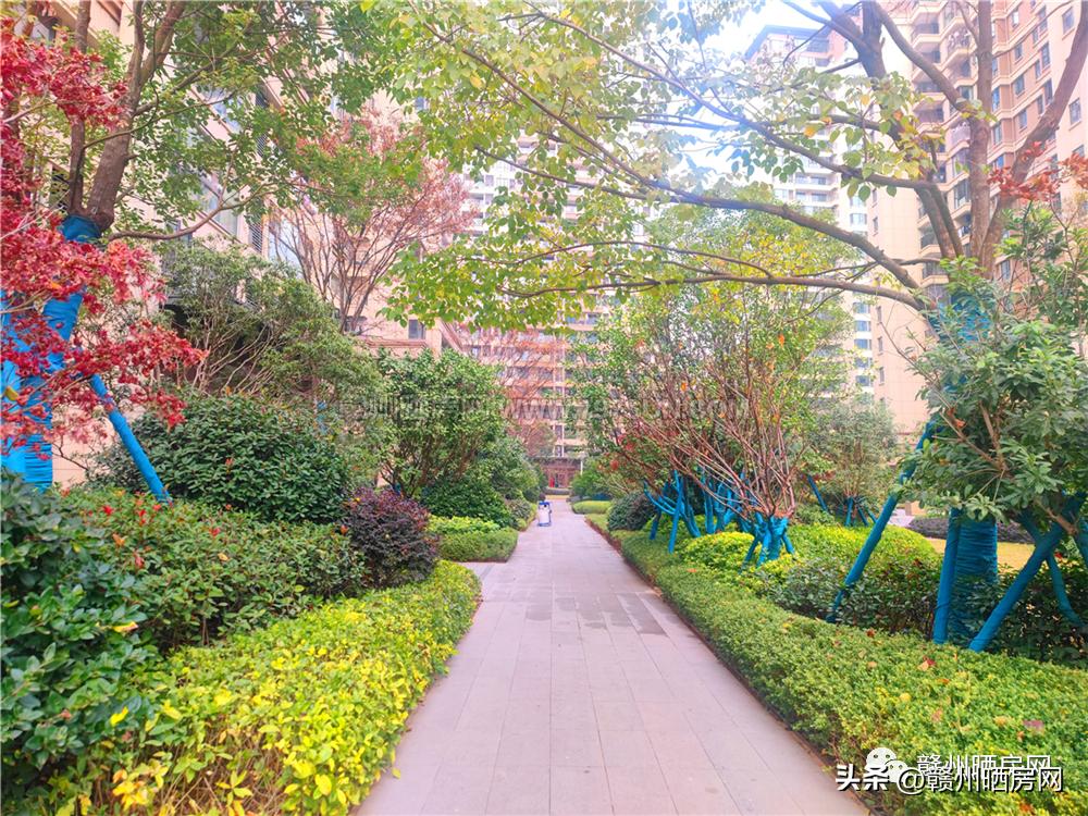 赣州招商雍景湾二手房,赣州雍景湾二手房交易成交量