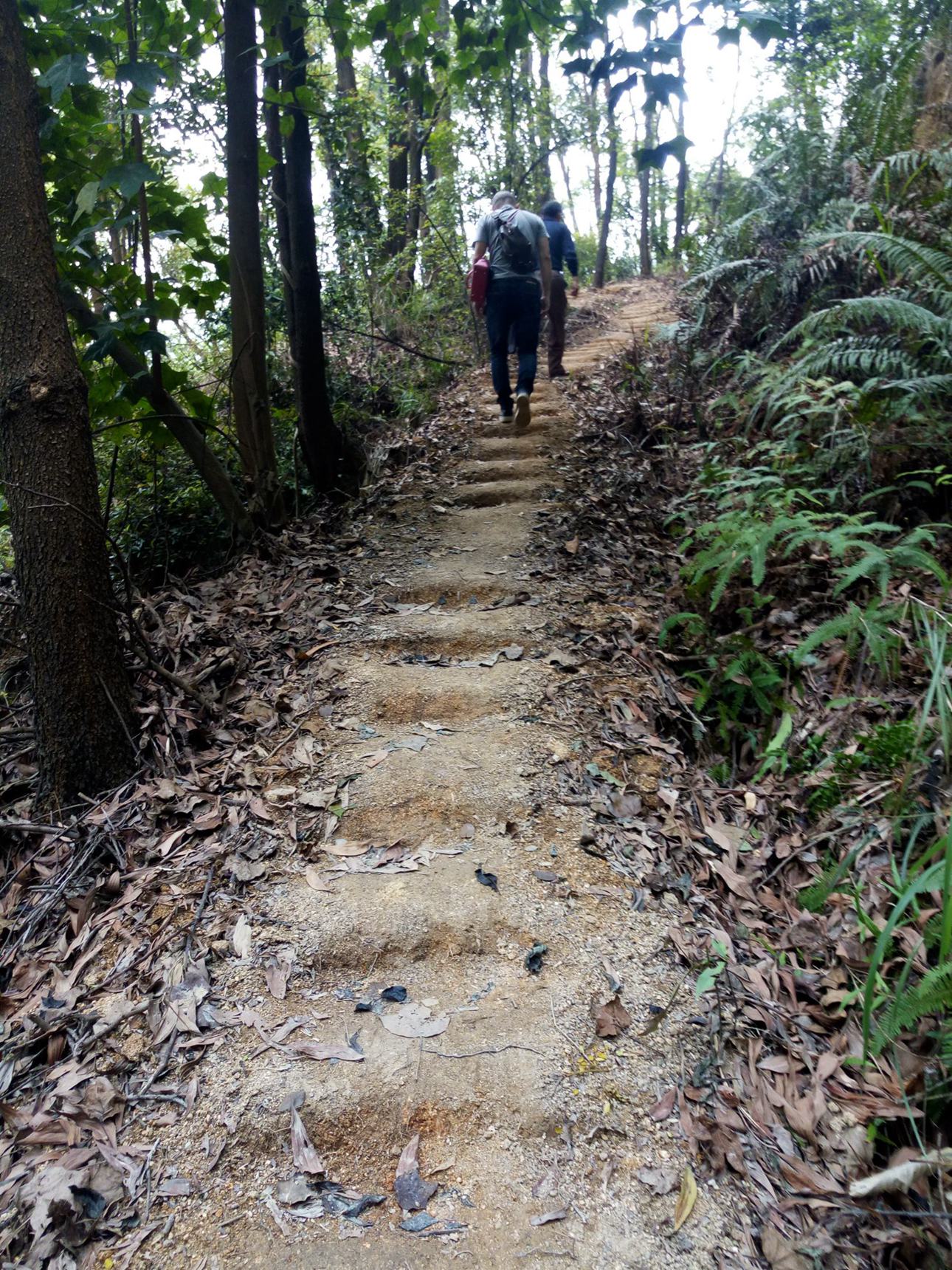 山西老农砍柴发现藏金洞,山西老汉发现山洞洞里藏金砖