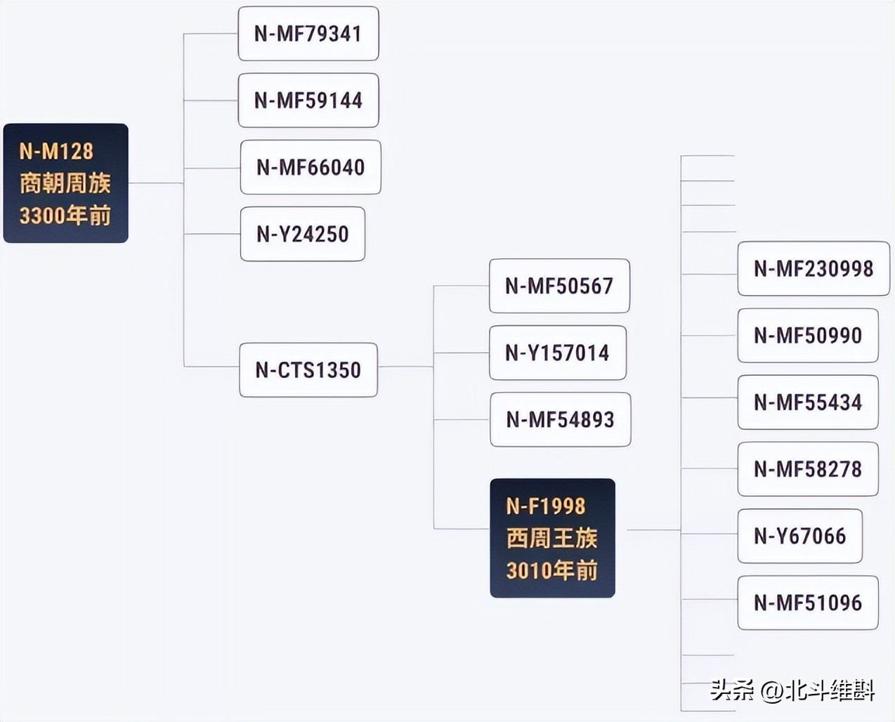 中国dna确定100万年古人类,从dna角度看人类