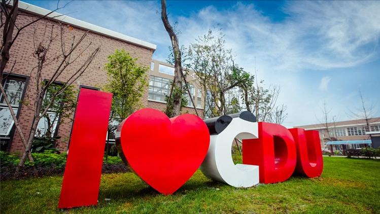 成都大学有可能入选双一流吗？