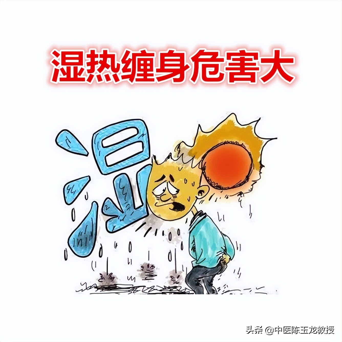 湿热最怕的草药,脾胃湿热和肝胆湿热同治的中成药