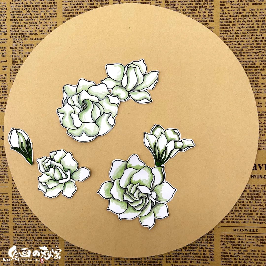 茉莉花开,茉莉花盆栽