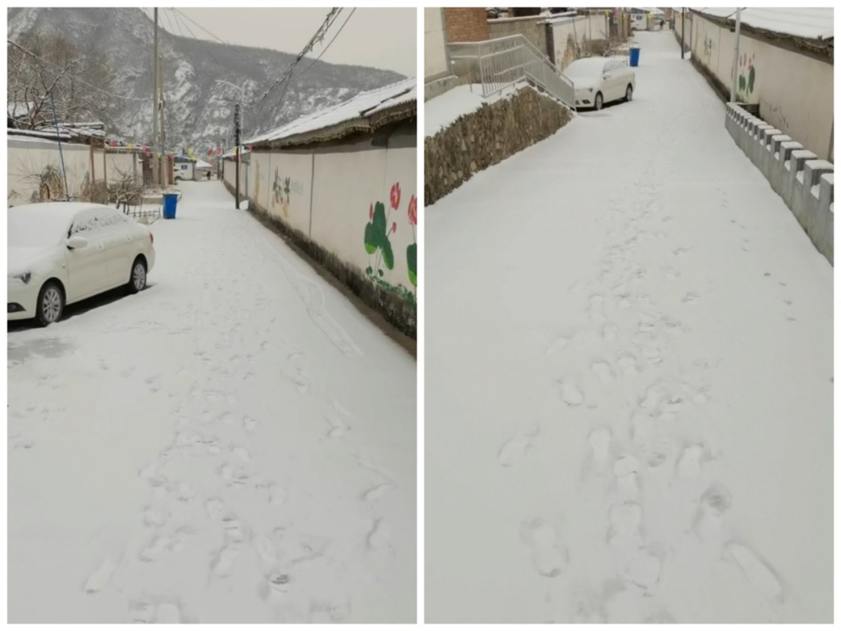 群诗：诗情物语春雪里（19首）