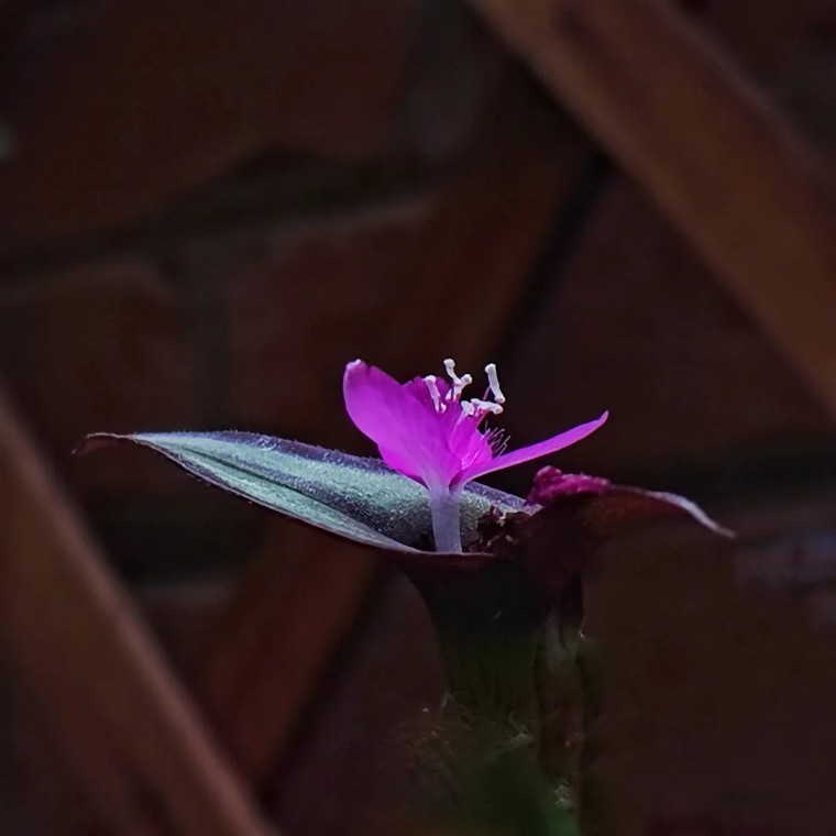 教你一招拍大片,拍摄60个技巧