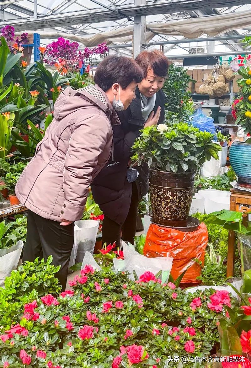 【共有一座城共爱一个家】在乌鲁木齐市植物园里踏青赏花寻春色