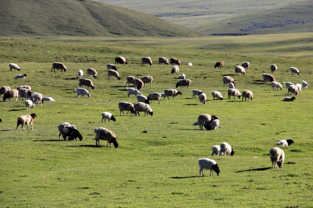 来自塔里木《塔河文苑》诗歌:北方南方冬天之猜想