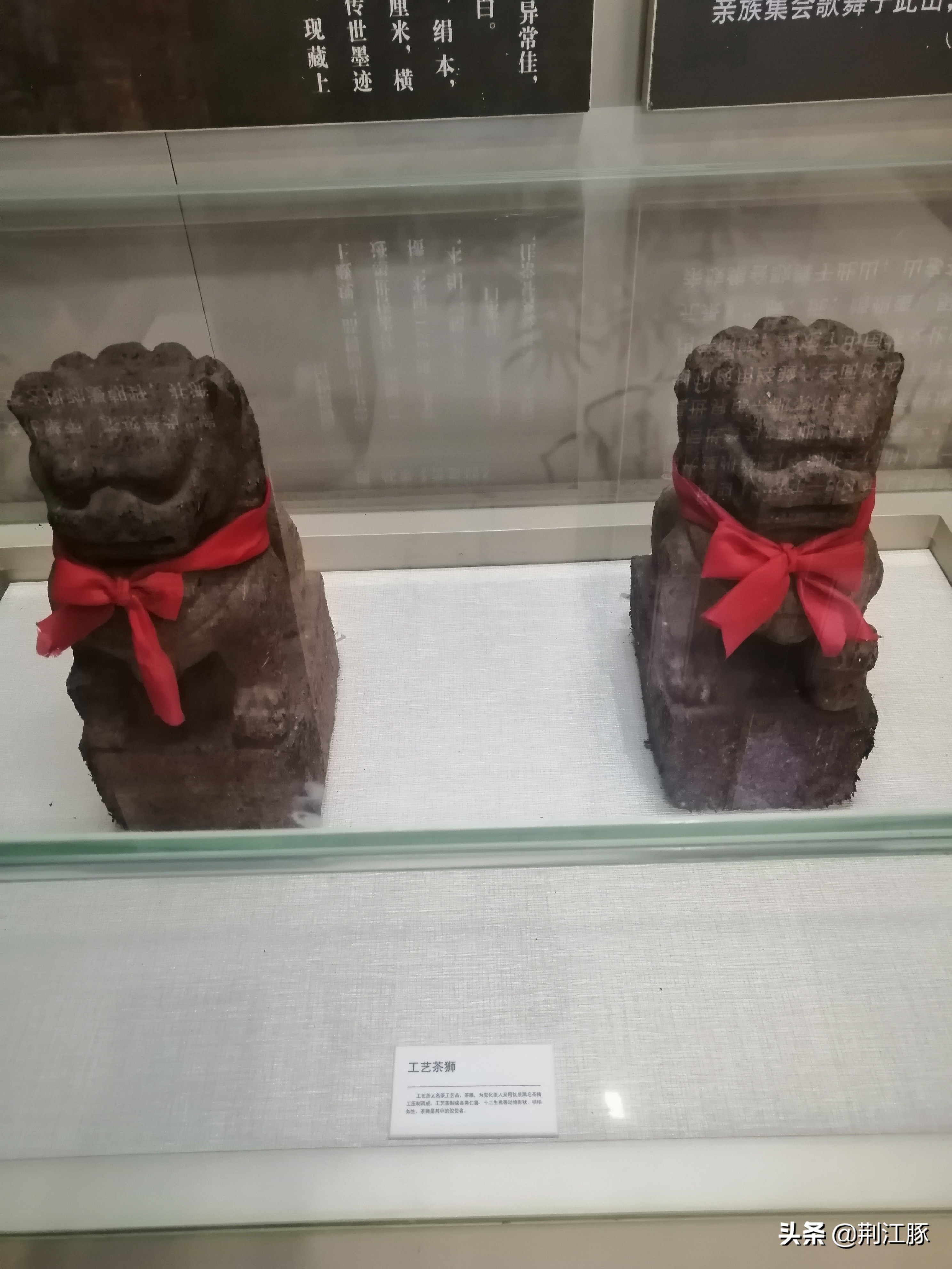 时隔215天,我再次来到这里,了解安化黑茶的前世今生