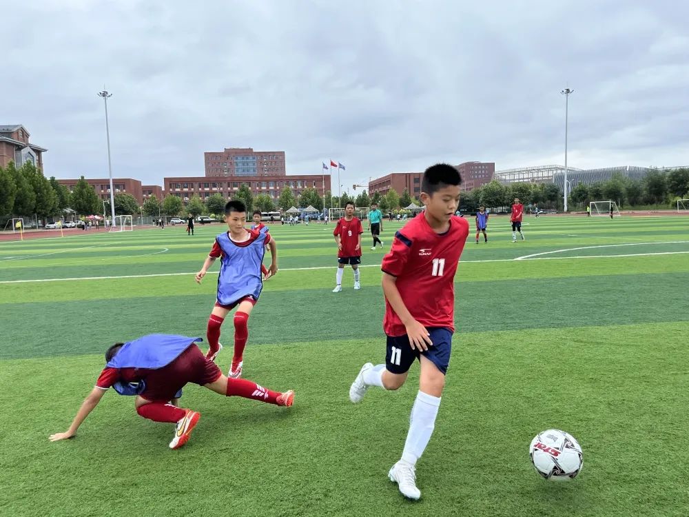 石家庄市神兴小学,石家庄神兴分校绿洲小学怎么样