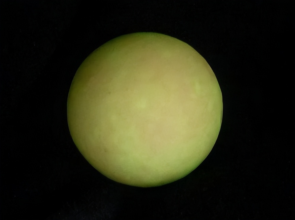 大叔因救人获赠“小石头”，20多年后发现：这是价值2亿的夜明珠