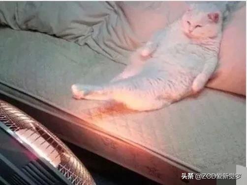 儿时取暖神器哪个好,小时候竹编取暖神器