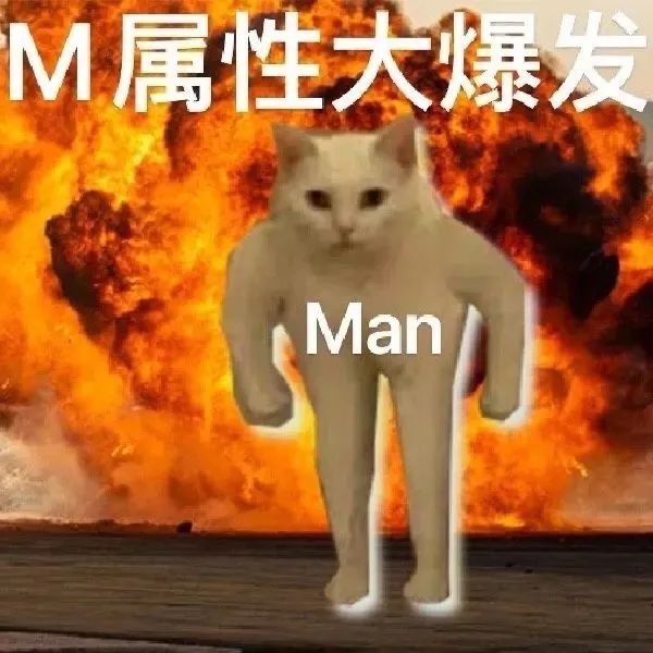 千万不要看的4部动画,千万不要看的4部电影