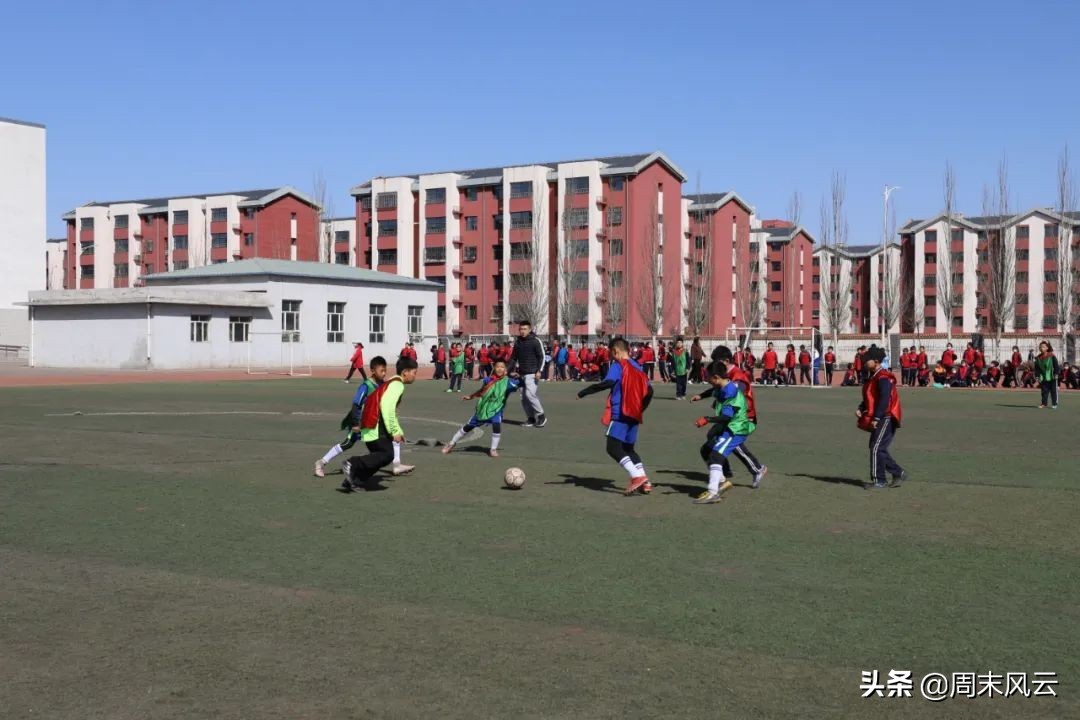 乌海“校长杯”：绿茵竞技场精彩连连看