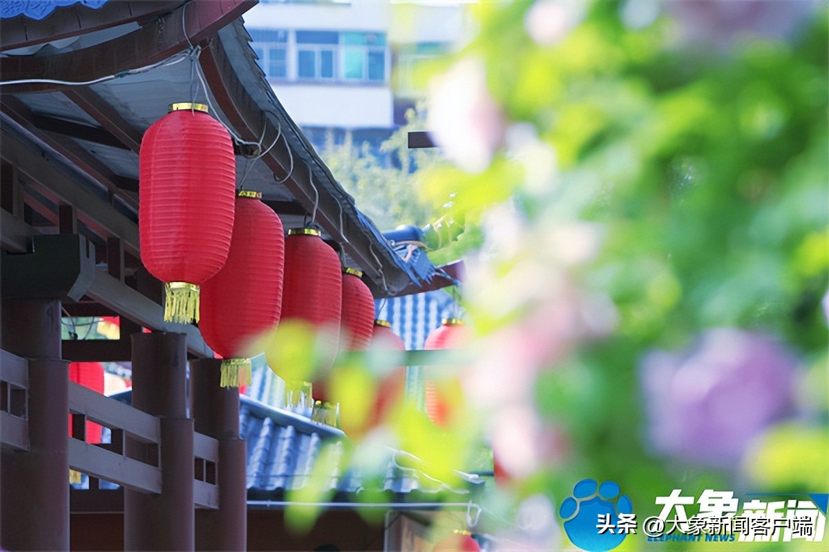 花开时节动京城最美不过洛阳城,花开时节动京城洛阳