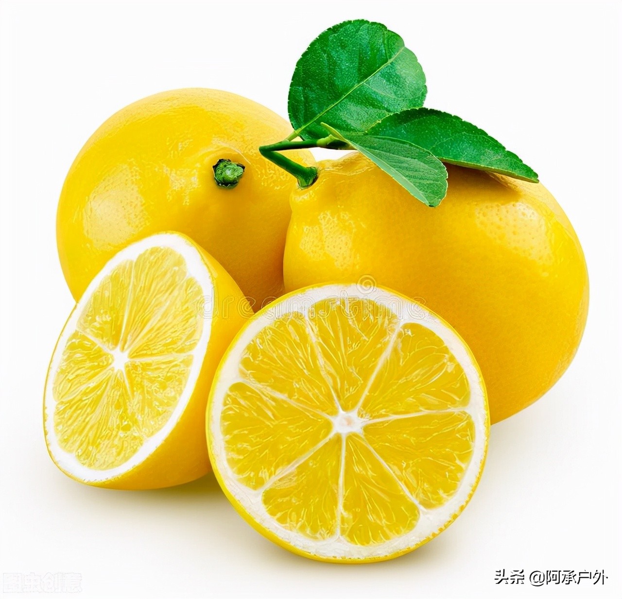 清洁马桶的小妙招怎么用,清洁马桶污垢的妙招自制