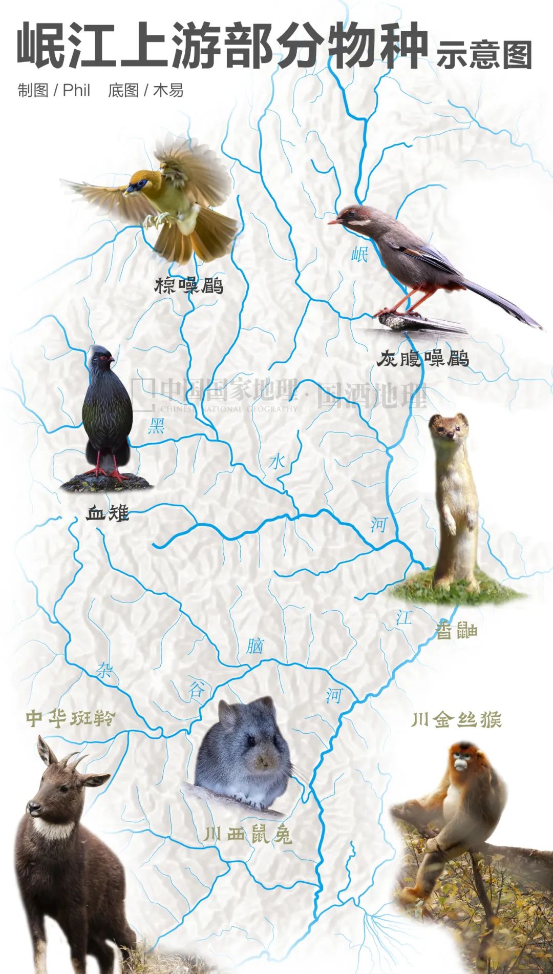 美酒成都,成都的美酒