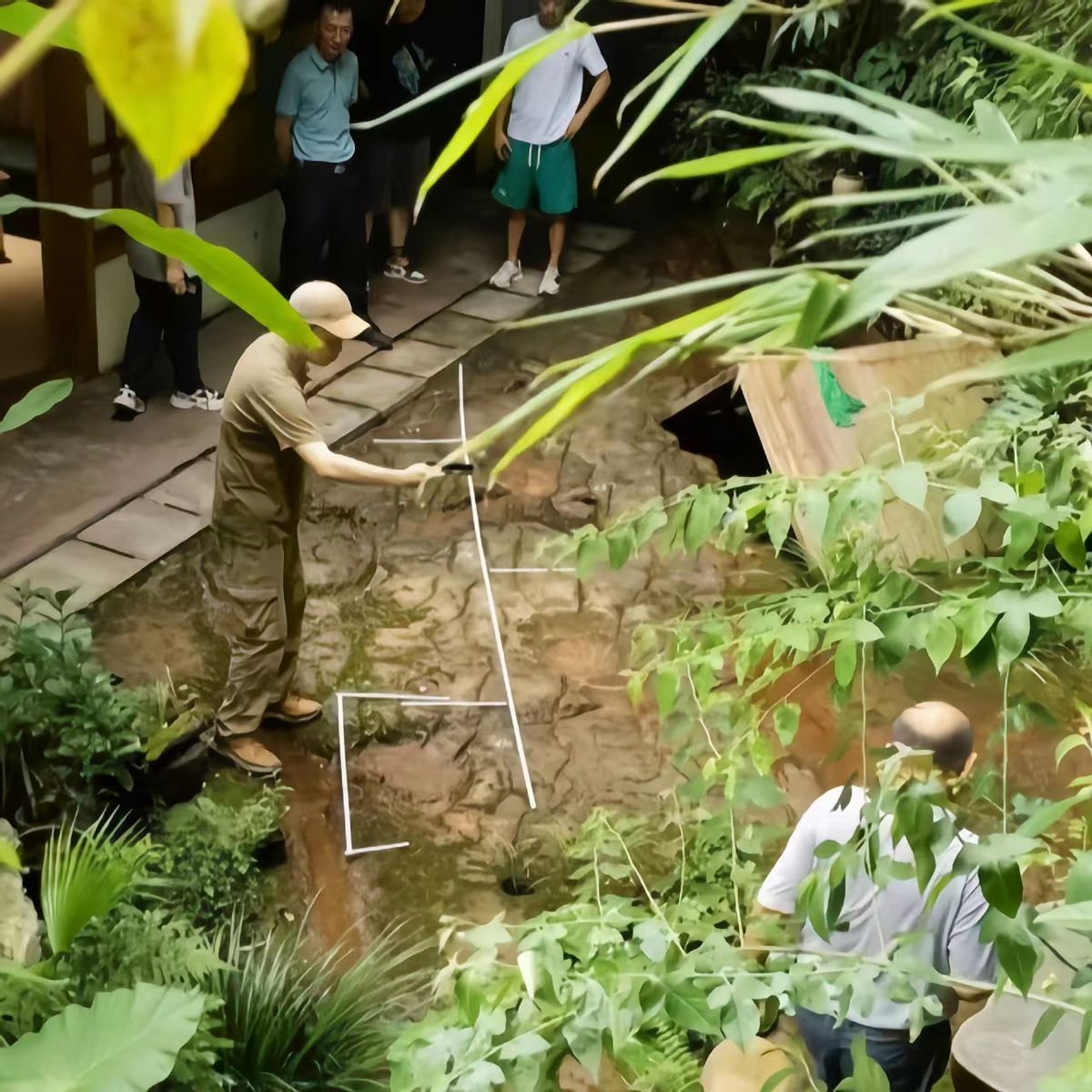 唯一一个在餐厅发现的恐龙足迹,四川餐厅发现恐龙足迹