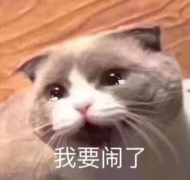 谁说翻车的，我第一个不同意