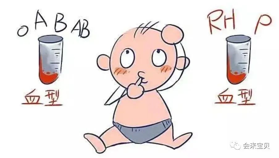 《狂飙》大结局，“熊猫血”或是导致强哥无后的罪魁祸首？