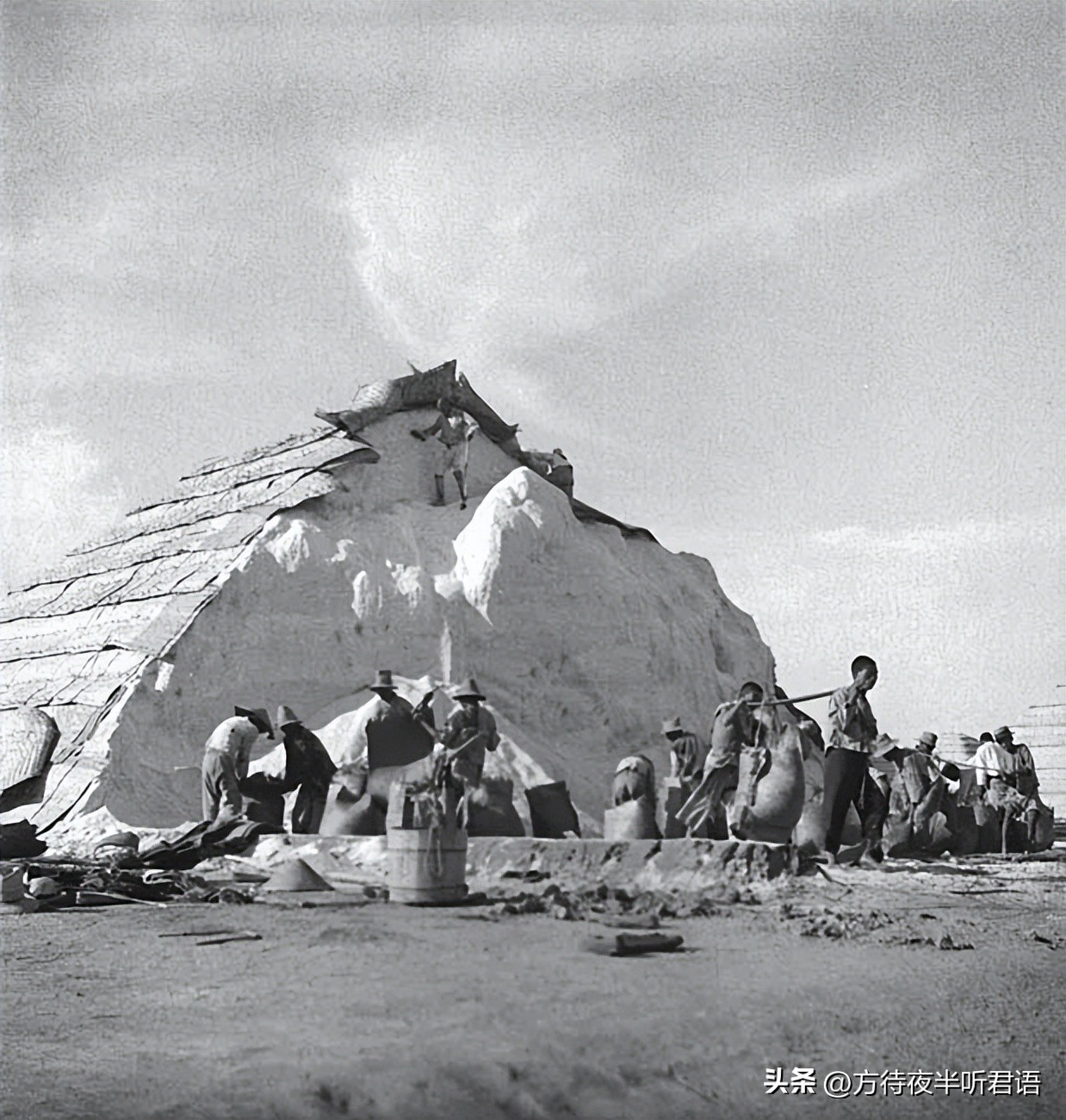 殊异之城：金石声穿过岁月的青岛留影