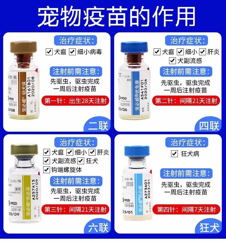 农村人买狗注意事项,农村狗市买狗注意事项