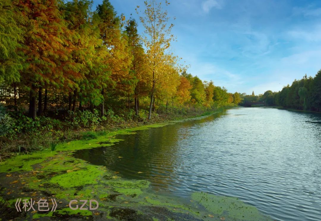 致三十周岁的宝贝儿子李淑华（江苏）《浪子情怀》诗歌集