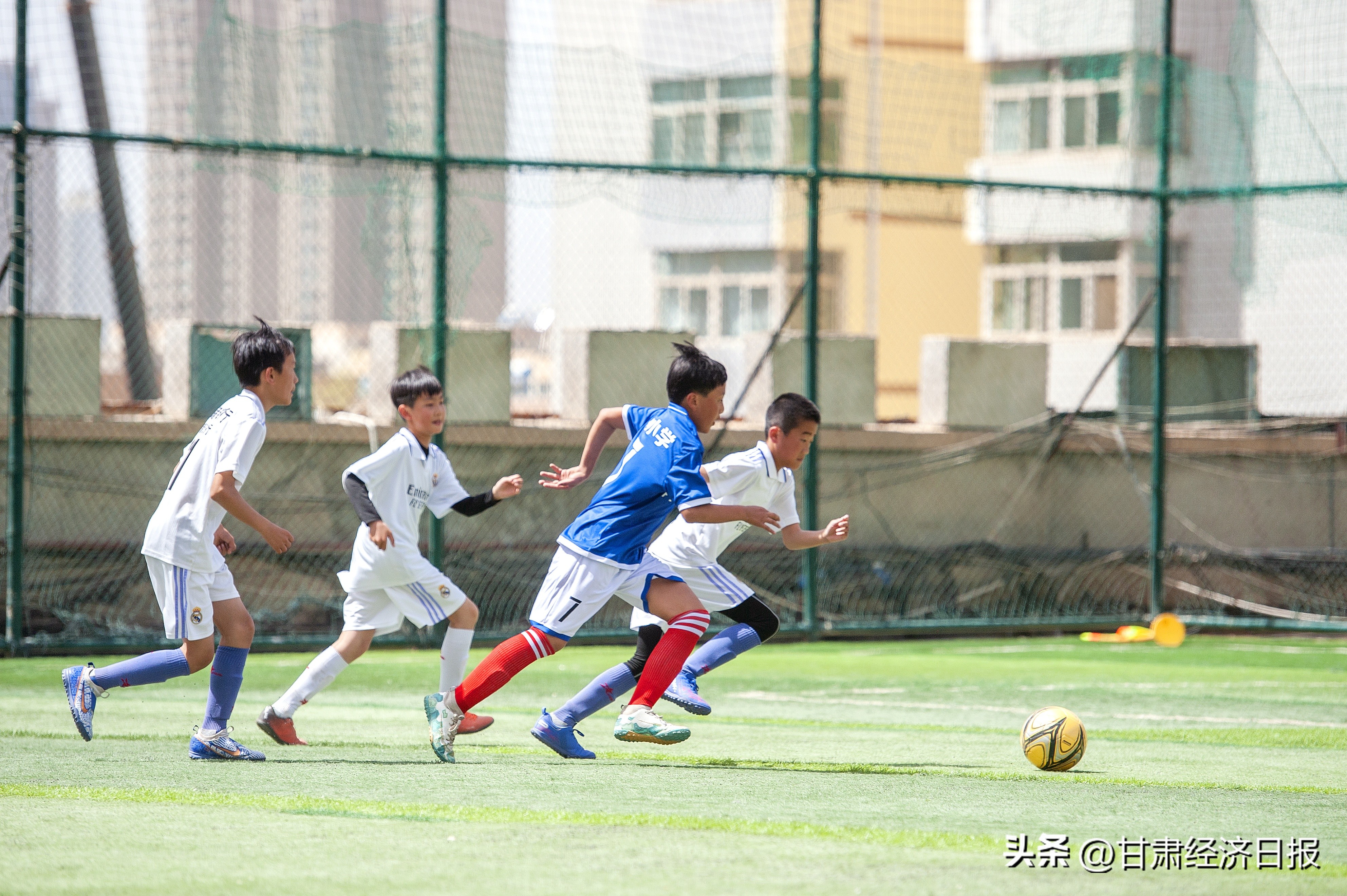 兰州市奔跑吧少年游泳比赛,奔跑吧少年西固区中小学运动会