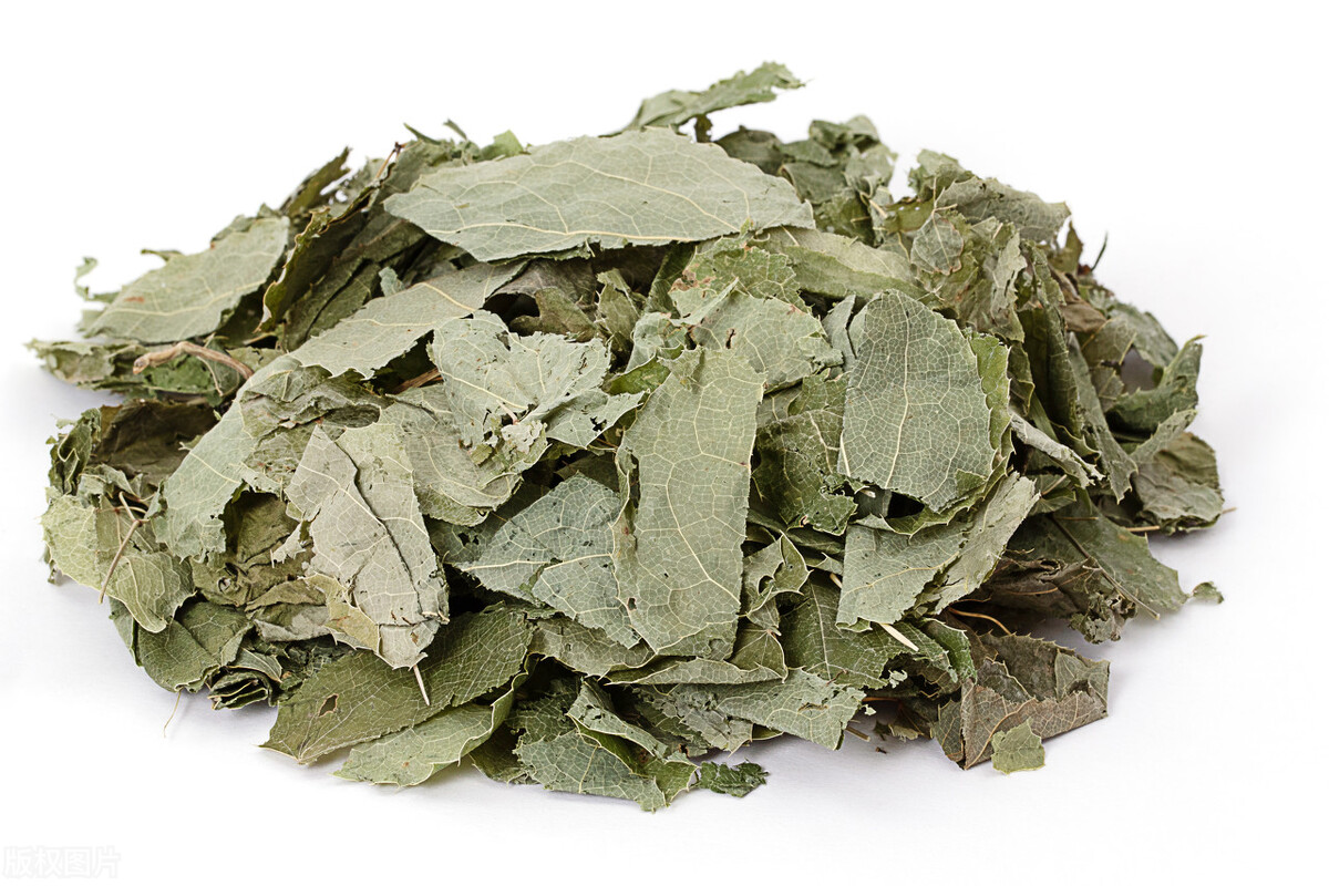 记忆力减退最好的中药,提高记忆精力中药