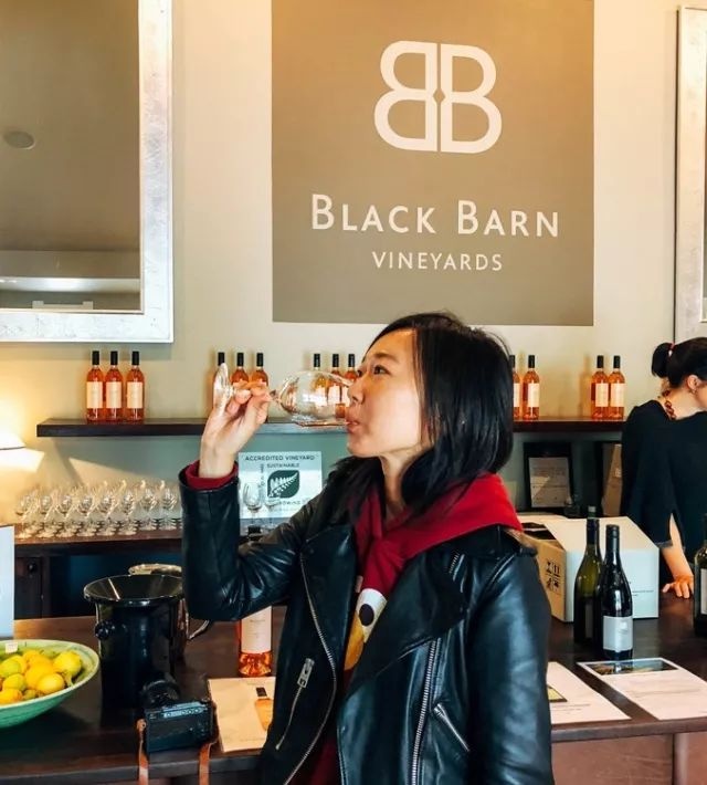 周游记2新西兰之旅,新西兰之旅15集