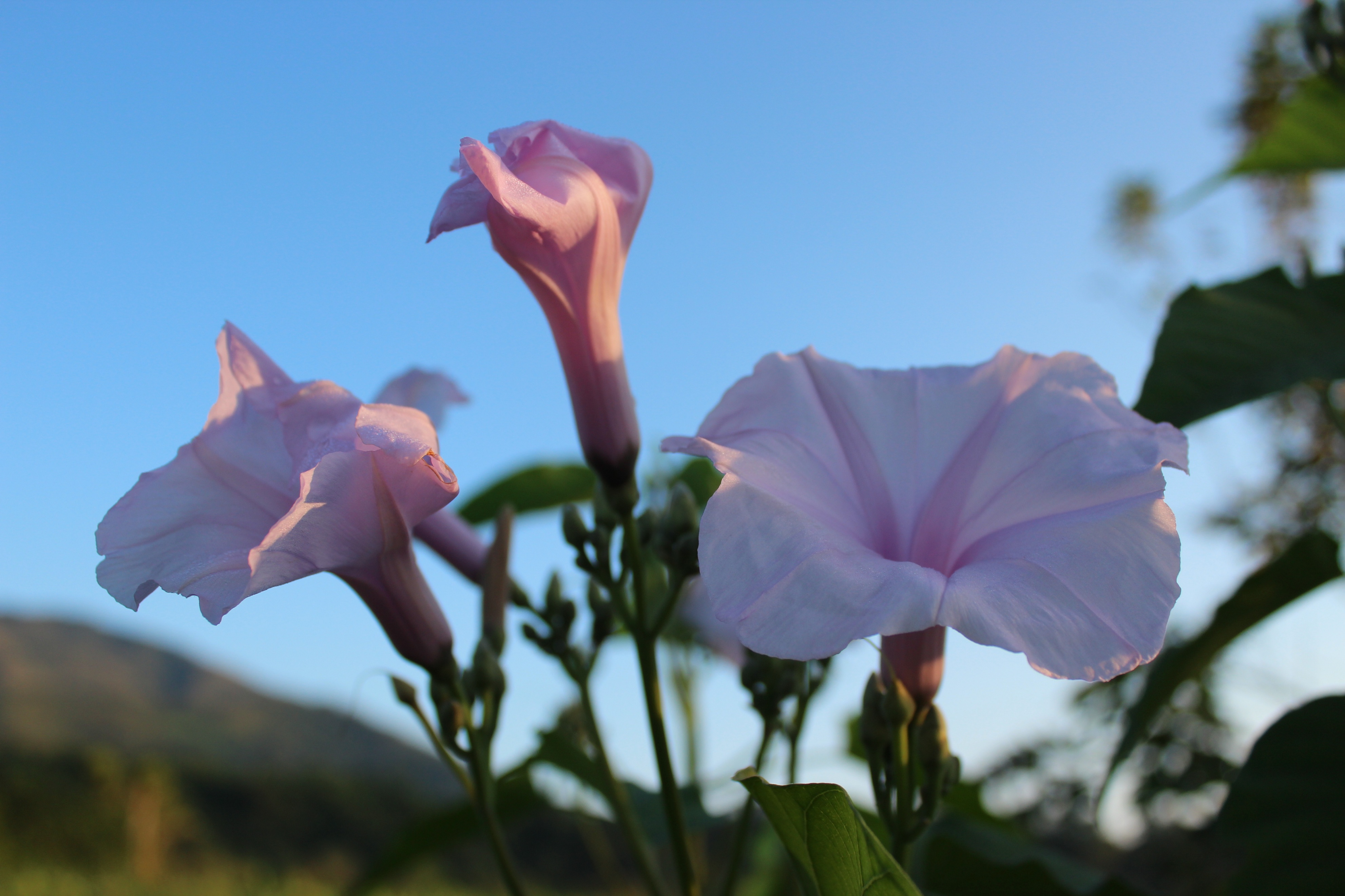 台湾行之垦丁南湾沙滩,台湾行